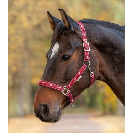 Waldhausen Little Horse Halter Red