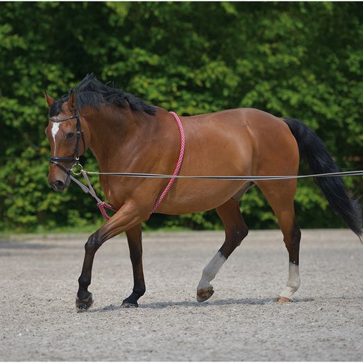 Waldhausen Red/Grey Lunging Aid