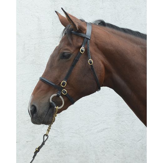 Mackey Classic In-Hand Bridle Black