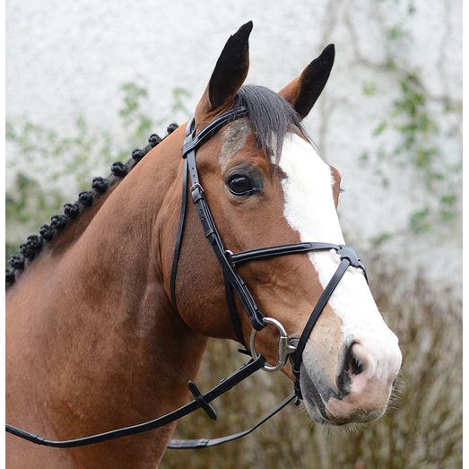 Mackey Classic Padded Grackle Bridle Black