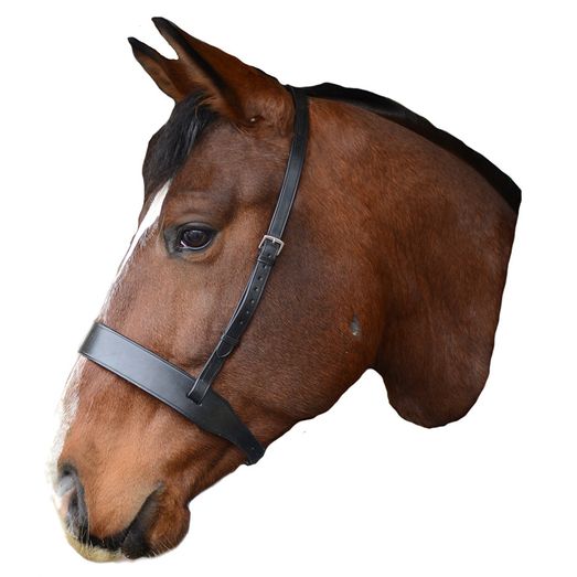 Mackey Classic Wide Flat Cavesson Noseband Brown
