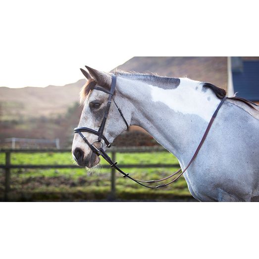 Mackey Legend Athena Bridle Brown