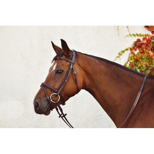 Mackey Legend Flash Bridle Black