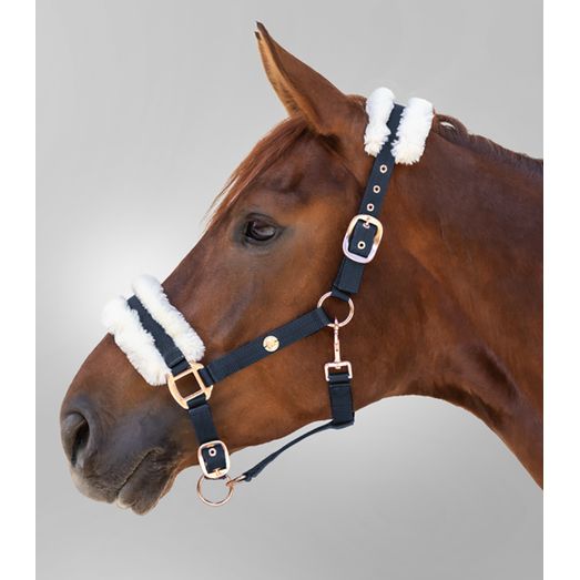 Waldhausen Night Blue Modern Rose Halter