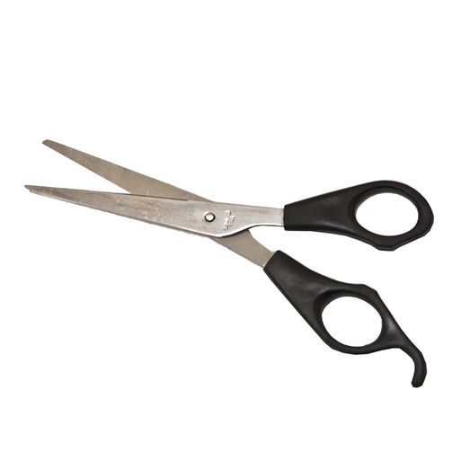 Equi-Sential Scissors Economy