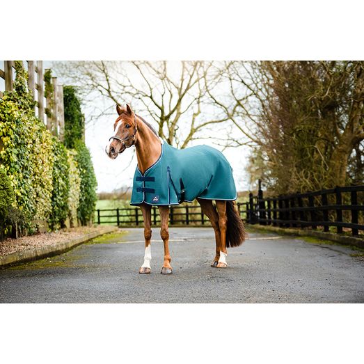 Mackey Shannon Air Cooler Petrol