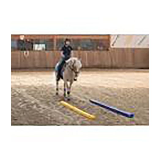 USG Soft Jump Pole Yellow