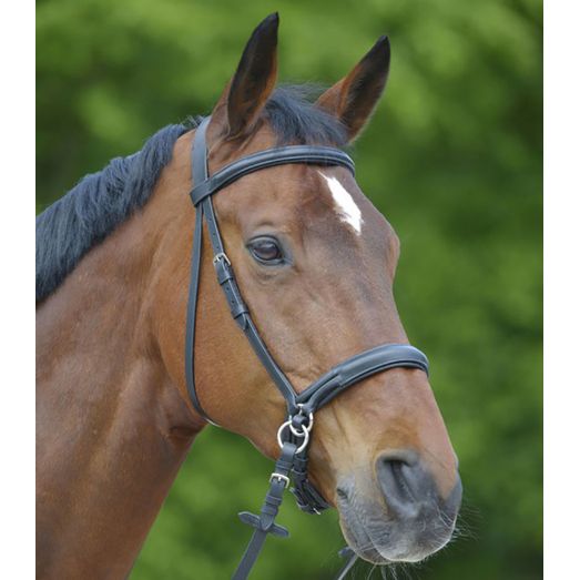 Waldhausen Star Bitless Black Bridle