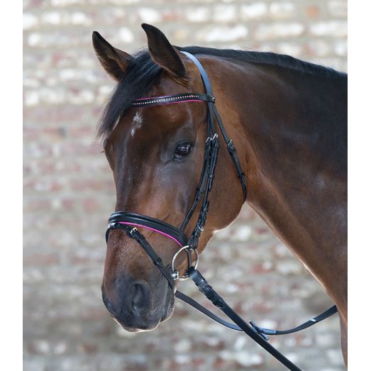 Waldhausen Diamond Pink Star Bridle