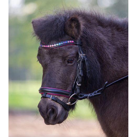 Waldhausen Pinky Pink Star Bridle
