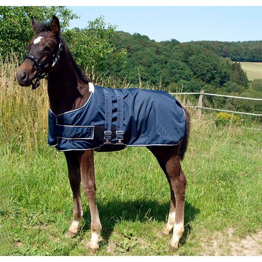 Waldhausen Navy Turnout Rug for Foals