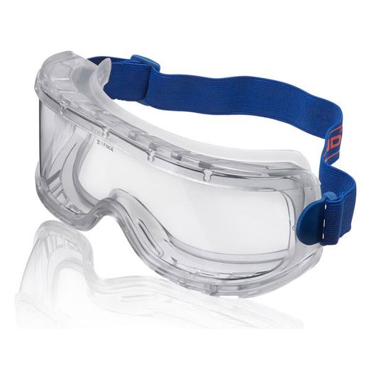 Beeswift Wide Vision Safety Goggles Clear