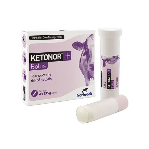 Norbrook Ketonor+ Bolus