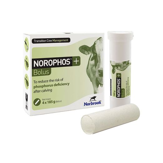 Norbrook Norophos+ Bolus
