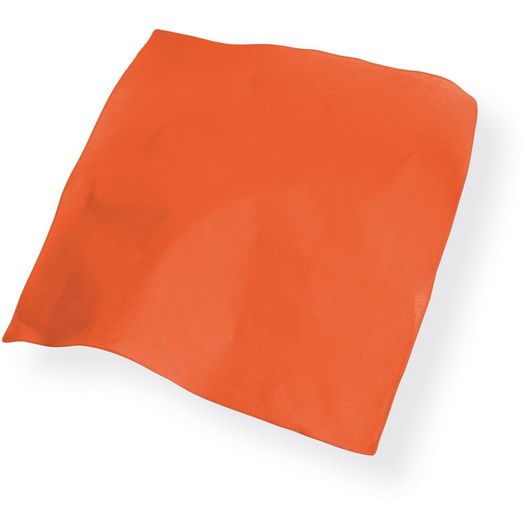 Atlantis Bandana Goal