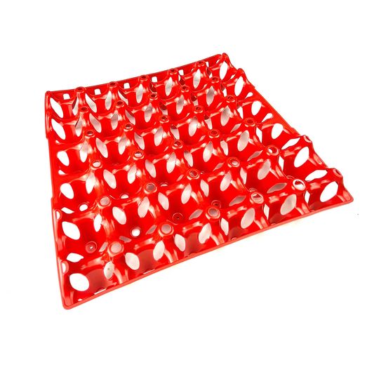 Bec Egg Tray (30 Eggs)