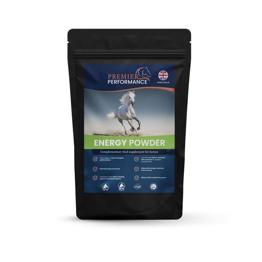 Premier Performance Energy Powder