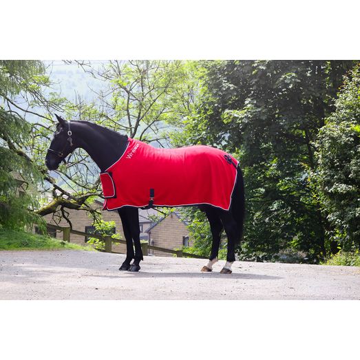 Whitaker R160 Club Show Rug Red