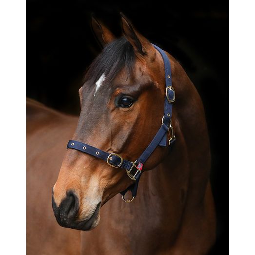 Equi-Sential Nylon Clip Headcollar Green