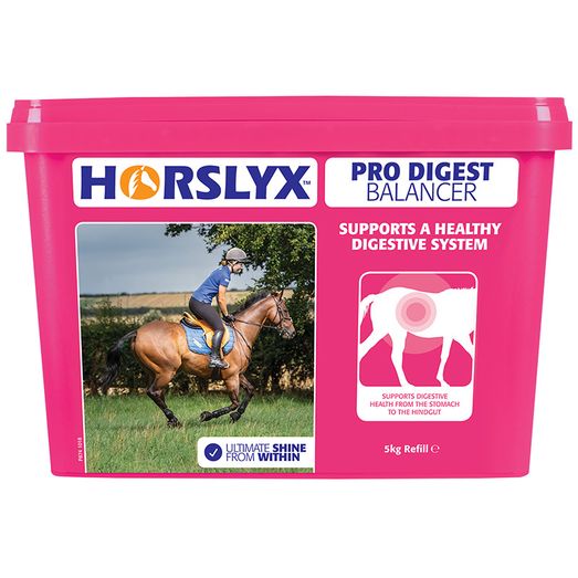 Horslyx Pro Digest Balancer