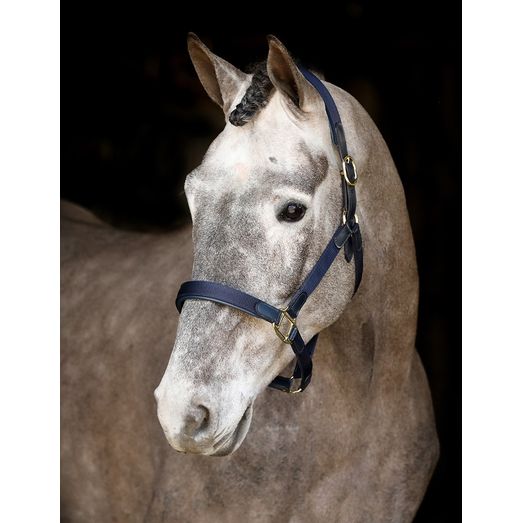 Mackey Saftey Headcollar Navy