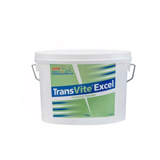 Transvite Excel