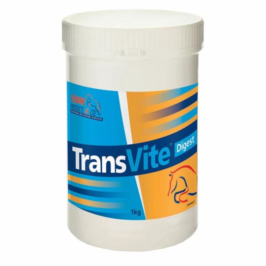 Transvite Gut Balancer
