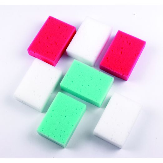 Lincoln Economy Sponge