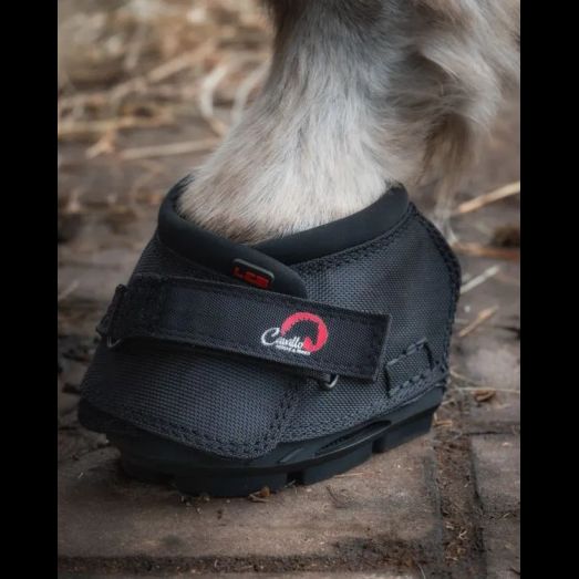 Cavallo Long Ear Boot - Turquoise