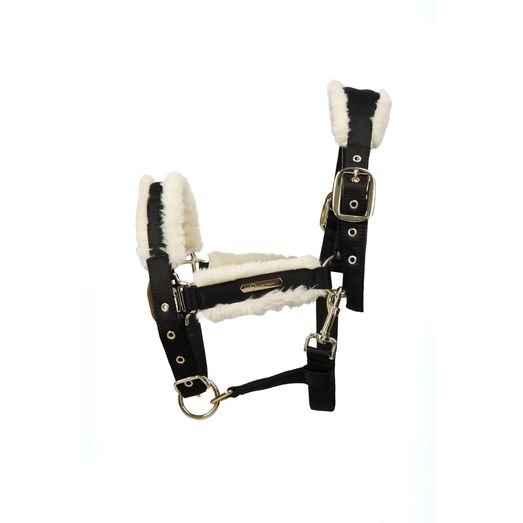 Coldstream Langlee Luxury Head Collar &amp; Lead Rope - Black