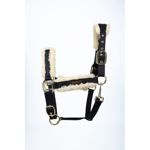 Coldstream Langlee Luxury Head Collar &amp; Lead Rope - Navy