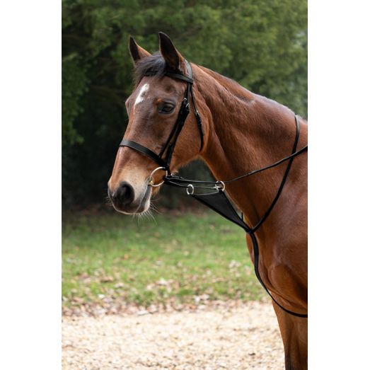 Hy Equestrian Bib Martingale - Black