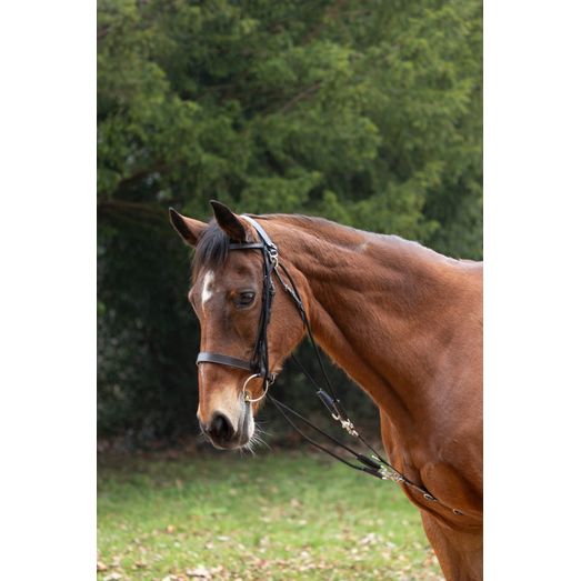 Hy Equestrian De Gouge - Black