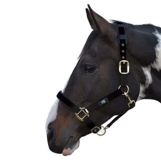 Hy Equestrian Deluxe Padded Head Collar - Black