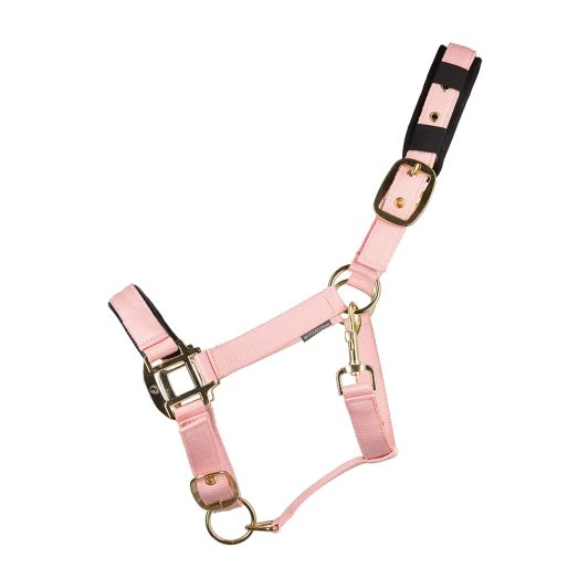 Hy Equestrian Deluxe Padded Head Collar - Hot Pink
