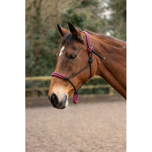 Hy Equestrian Double Braid Rope Halter - Cob/Full