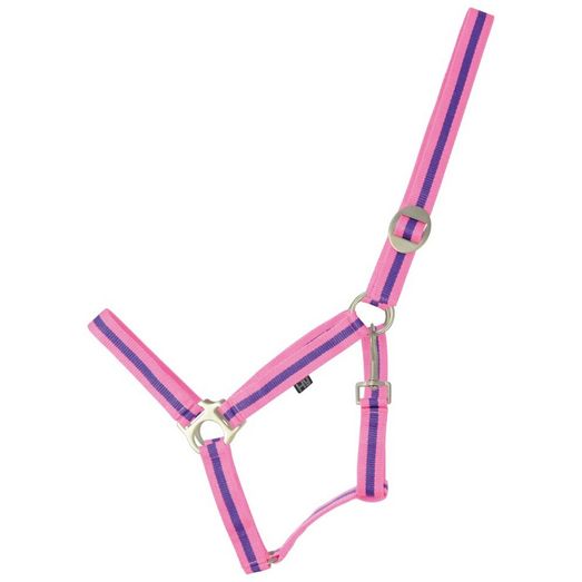 Hy Equestrian Duo Head Collar - Pink/Purple