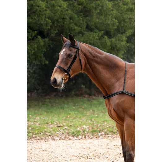 Hy Equestrian Elastic Breastgirth - Black