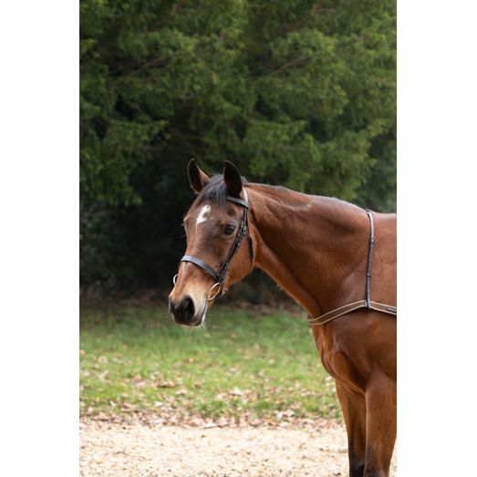 Hy Equestrian Elastic Breastgirth - Brown