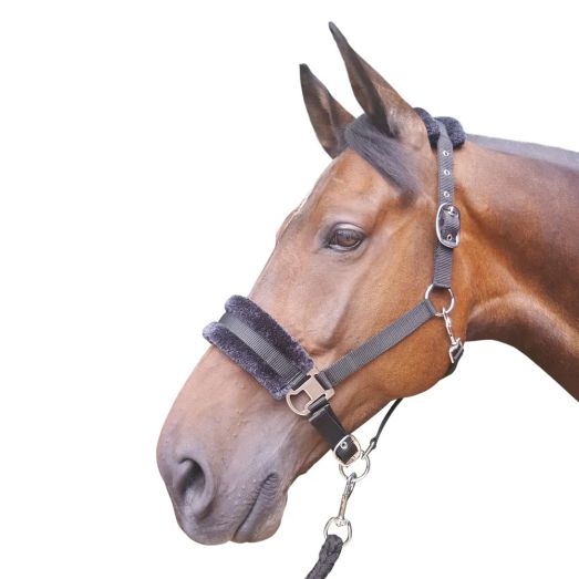 Hy Equestrian Faux Fur Padded Head Collar with Lead Rope - Black