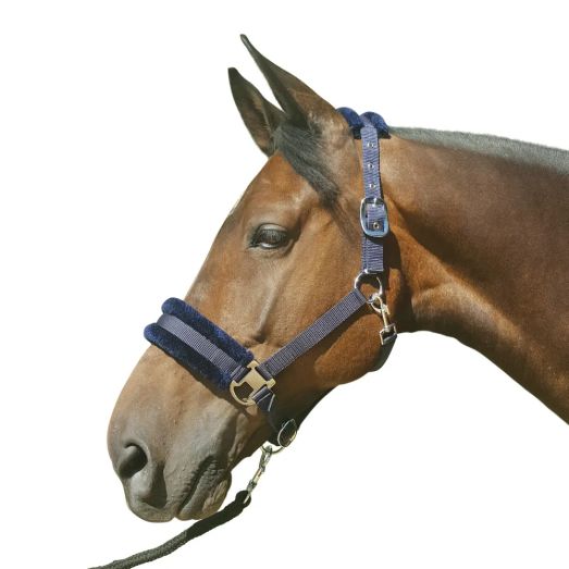 Hy Equestrian Faux Fur Padded Head Collar with Lead Rope - Navy