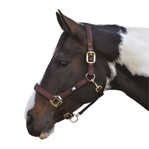 Hy Equestrian Grand Prix Head Collar - Chocolate Brown