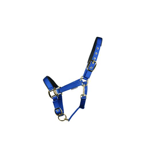 Hy Equestrian Grand Prix Head Collar - Navy