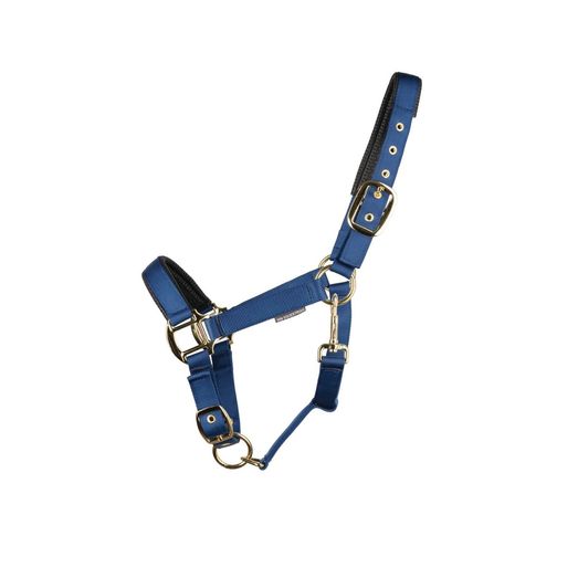 Hy Equestrian Grand Prix Head Collar - Navy