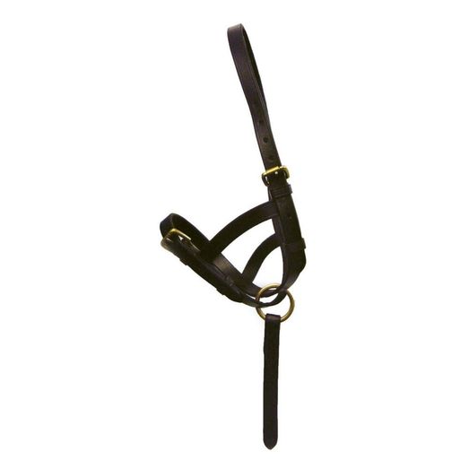 Hy Equestrian Leather Foal Slip - Black