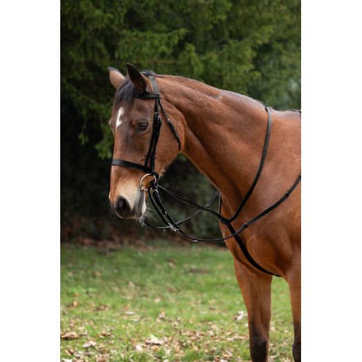 Hy Equestrian Market Harborough - Black