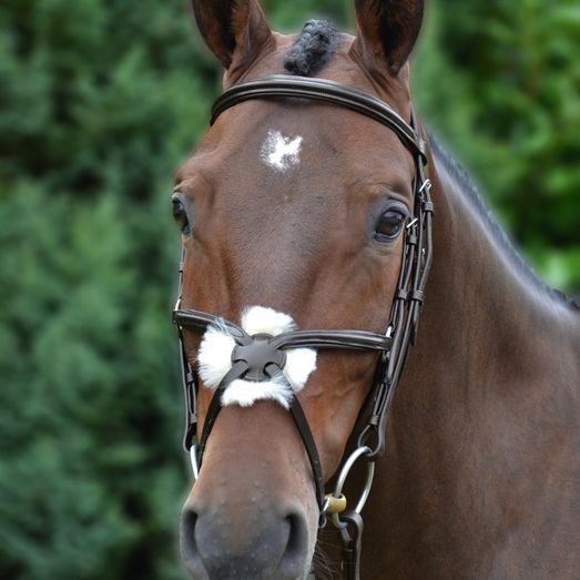 Hy Equestrian Mexican Grackle Bridle with Rubber Grip Reins - Brown