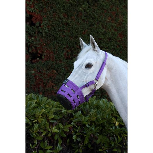 Hy Equestrian Muzzle - Purple