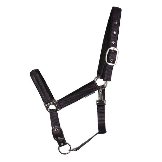 Hy Equestrian Mystic Head Collar - Purple/Midnight Dust