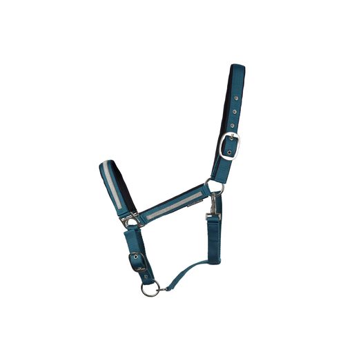 Hy Equestrian Mystic Head Collar - Teal/Silver Dust